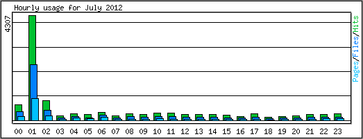Hourly usage
