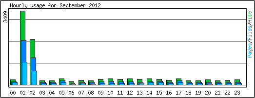 Hourly usage