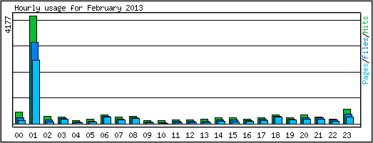 Hourly usage