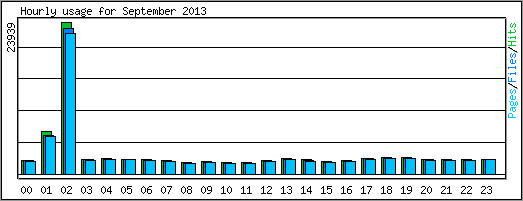 Hourly usage
