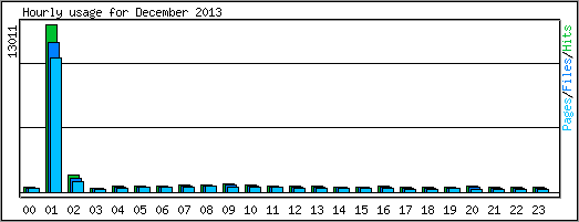 Hourly usage