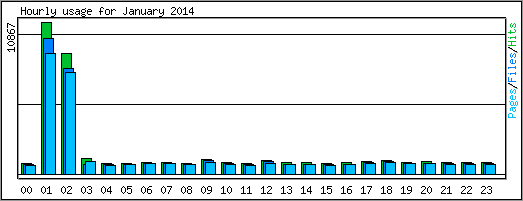 Hourly usage
