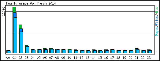 Hourly usage