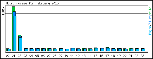 Hourly usage