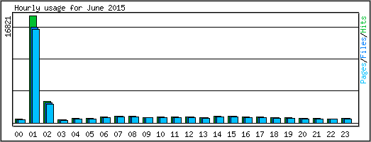 Hourly usage