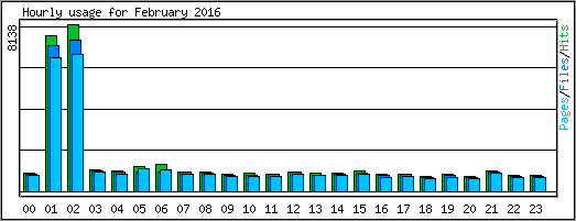 Hourly usage