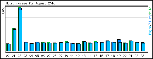 Hourly usage