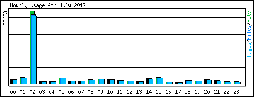 Hourly usage